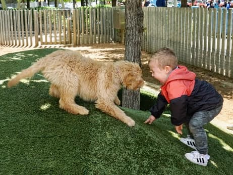 El parque de niños estará abierto de 9AM-8PM, los niños mayores de 10 años deben utilizar un cubrebocas y mantener el distanciamiento social.