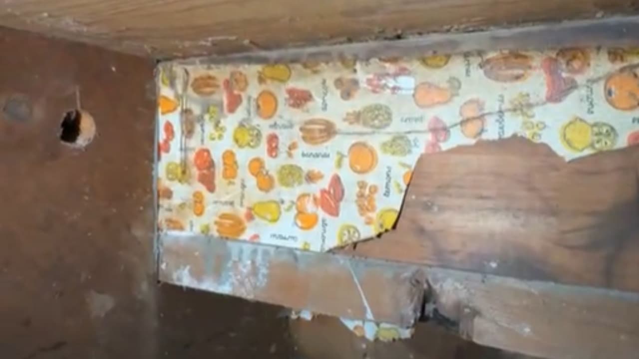 Uno de los detalles más llamativos es el papel tapiz original que aún puede verse debajo de las escaleras, cerca del sótano. Las autoridades evalúan cómo conservarlo sin que pierda visibilidad para los futuros visitantes.