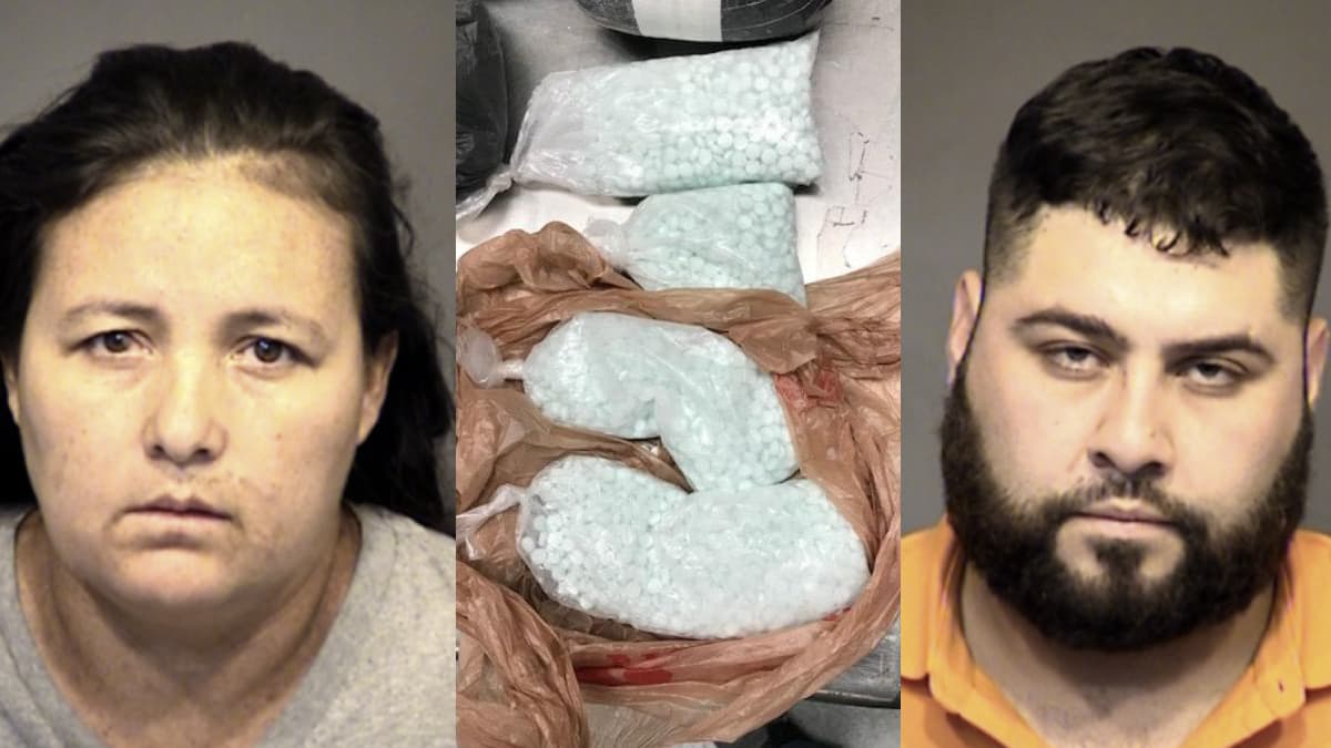 Incautan 15,000 pastillas del mortal Fentanilo por un valor de $600,000 dólares