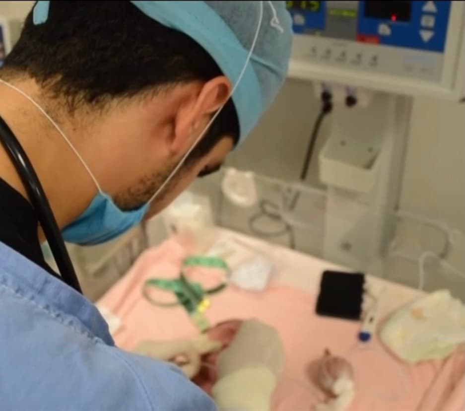 La noticia de la existencia de esta medicina ha motivado a la comunidad cercana a la familia quienes se han unido para tratar de ayudar a la familia para que pueda ser trasladada a los 
<a href="https://www.univision.com/temas/estados-unidos-de-america">Estados Unidos</a> 
<b>donde la Zolgensma está autorizada.</b> 
<br>