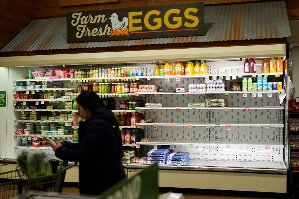 De Texas a Boston: Alerta por tormenta de invierno en EEUU que traerá nieve, aguanieve y hielo