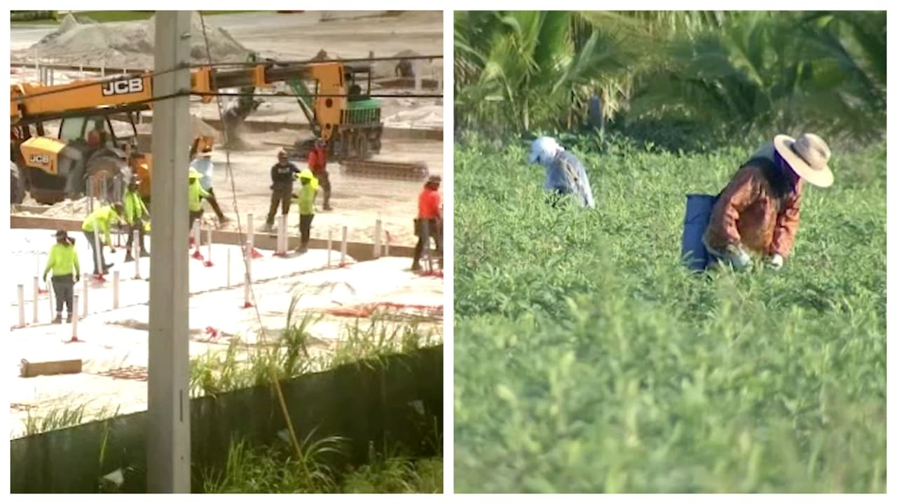 Trabajadores indocumentados denuncian que no les pagan: estos son sus derechos