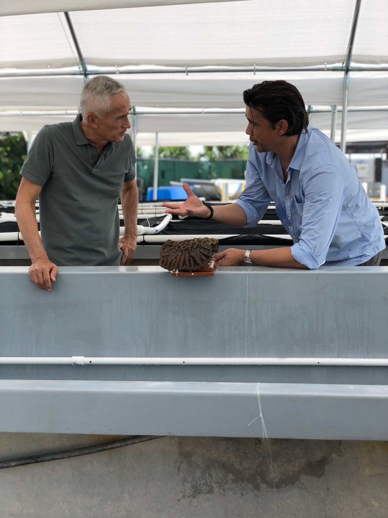 Jorge Ramos conversa con expertos sobre la importancia de proteger los arrefices de coral.