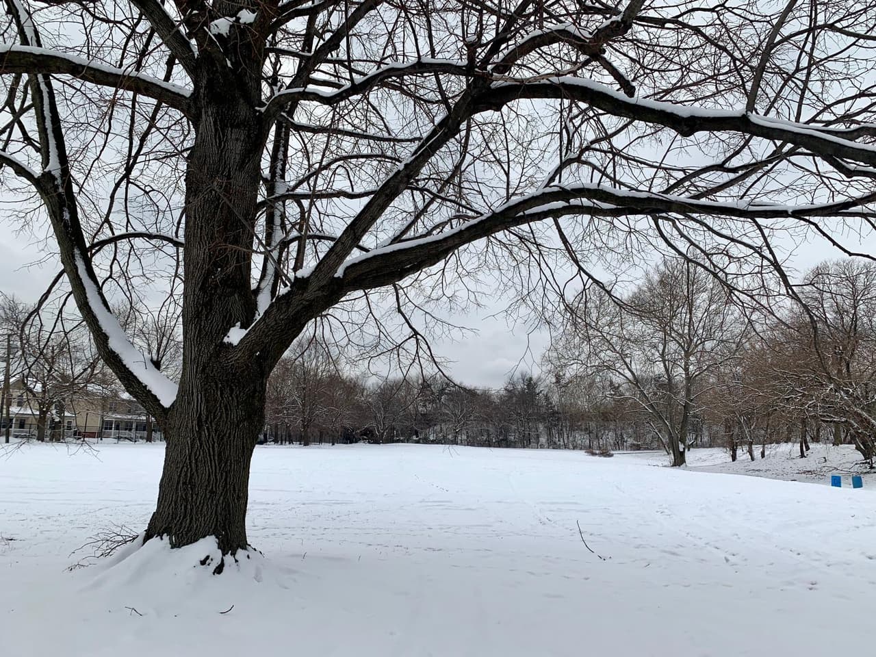 El pronóstico es complicado, porque depende en gran medida de qué tan cálidas o frías serán las temperaturas tanto en el suelo como en las diferentes capas de la atmósfera.