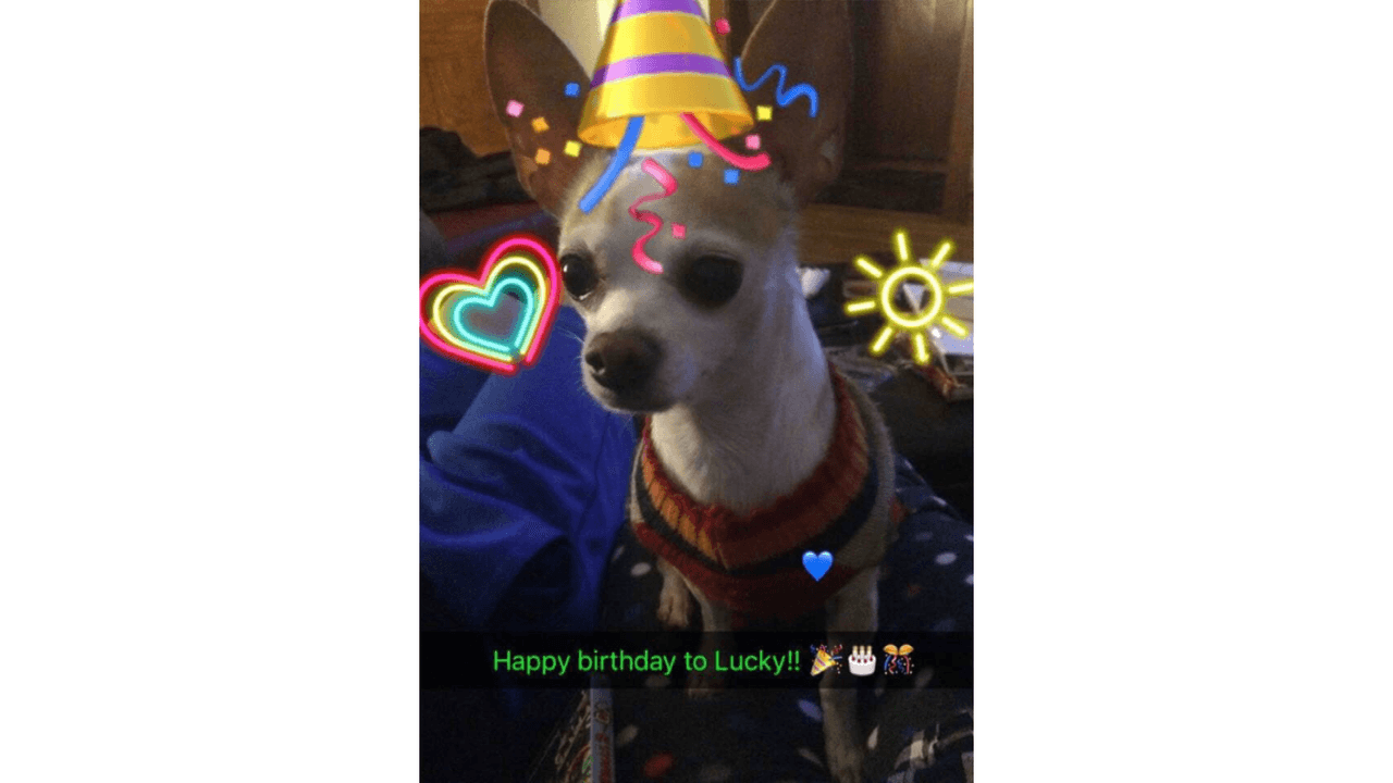 "Lucky es el baby de la familia Hernandez. Tiene #11añitos".