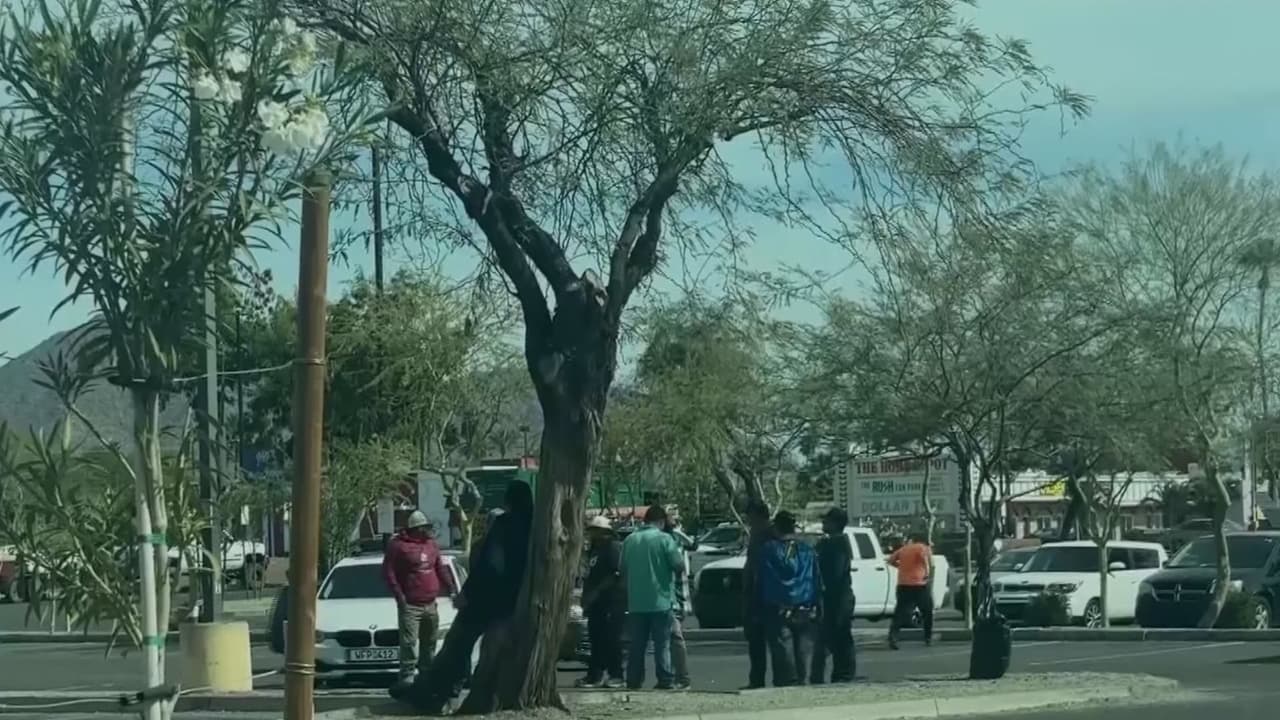 Preocupa supuesta colaboración de Home Depot con ICE: Esto es lo que se sabe