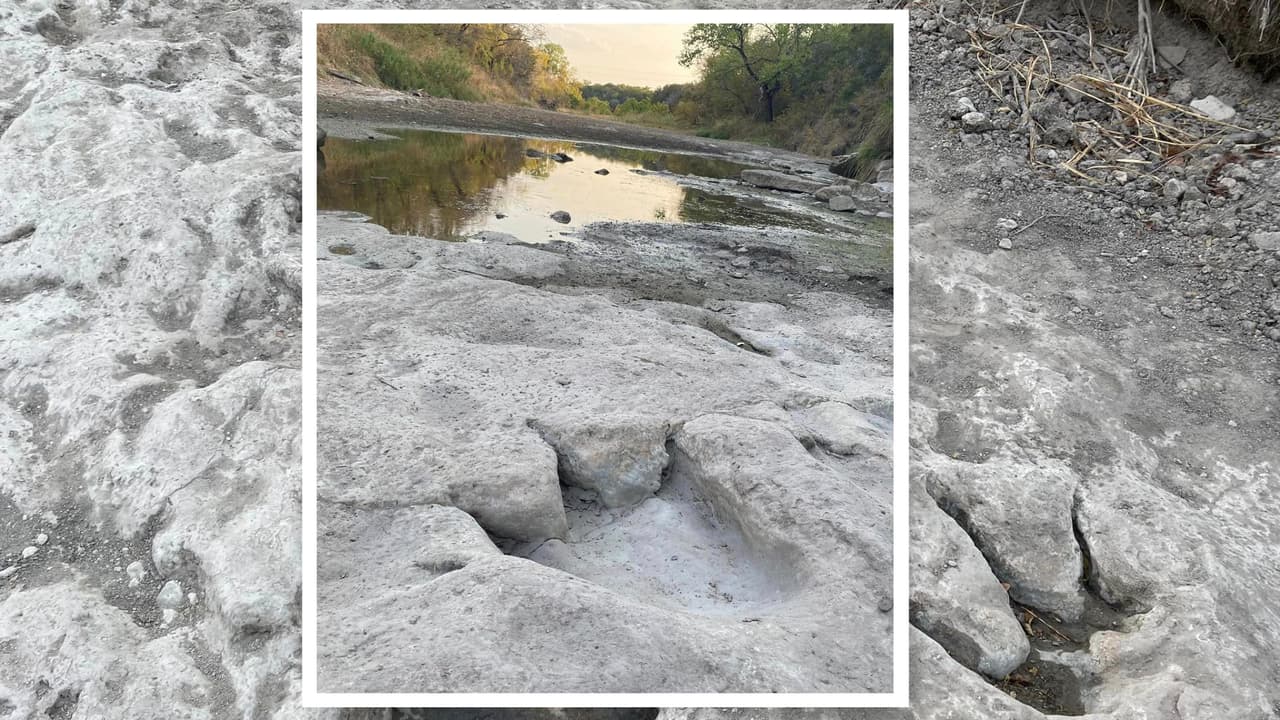 Encuentran más de 70 huellas de dinosaurios en un parque estatal en Texas