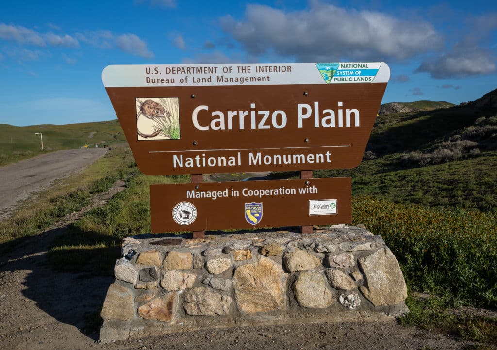 El mes de abril es óptimo para el paseo y se espera que las flores silvestres sigan floreciendo durante la tercera semana de abril.