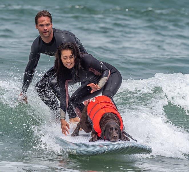 Las costas del norte de California son el mejor lugar para practicar el deporte del "surf perruno", de acuerdo a los organizadores del evento.