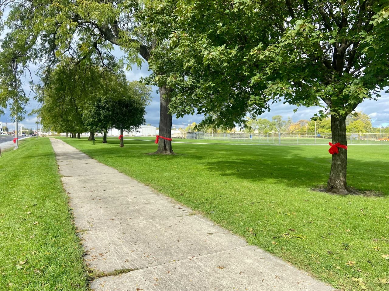 Los árboles con moños rojos junto al sendero que Gio León atravesó para buscar una pelota honran la memoria del pequeño jugador de fútbol soccer. “Cuando llegó al hospital nos dijeron que todo estaba bien, que tenía un brazo fracturado, pero lo tenían sedado”, cuenta su padre. Sin embargo, al día siguiente, y tras retirarle la sedación, Gio murió.
<br>“Nos dijeron que el único problema que tenía era la presión (sanguínea). Después de hablar con sus abuelos y sus hermanos, falleció".
