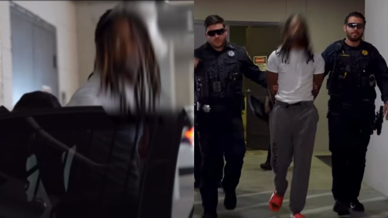 Joven es acusado de torturar a su cachorro llamado Timmy; las golpizas quedaron grabadas