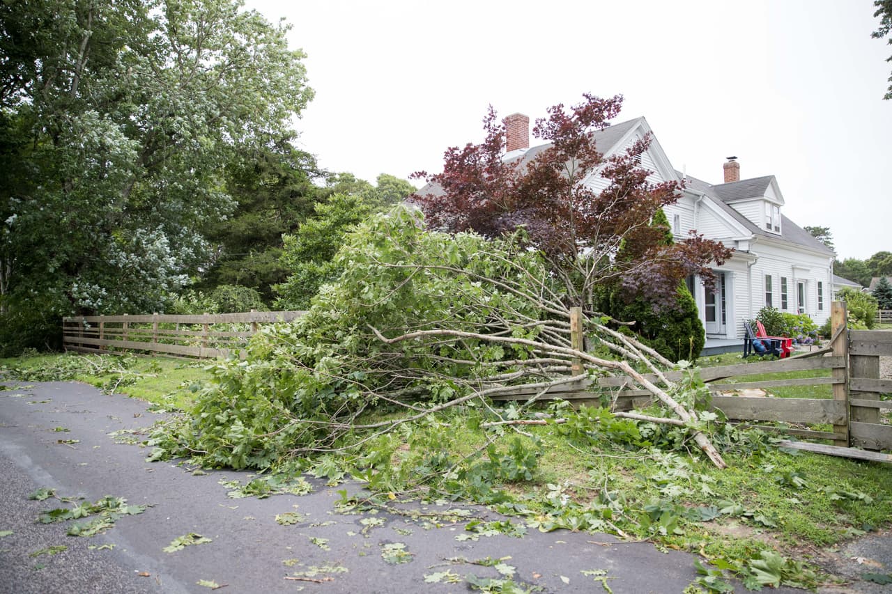 Si observa cables eléctricos expuestos o chispas, o si huele algo que se está quemando, interrumpa de inmediato el suministro de corriente eléctrica desde el cortacircuitos principal si es que todavía no lo ha hecho.