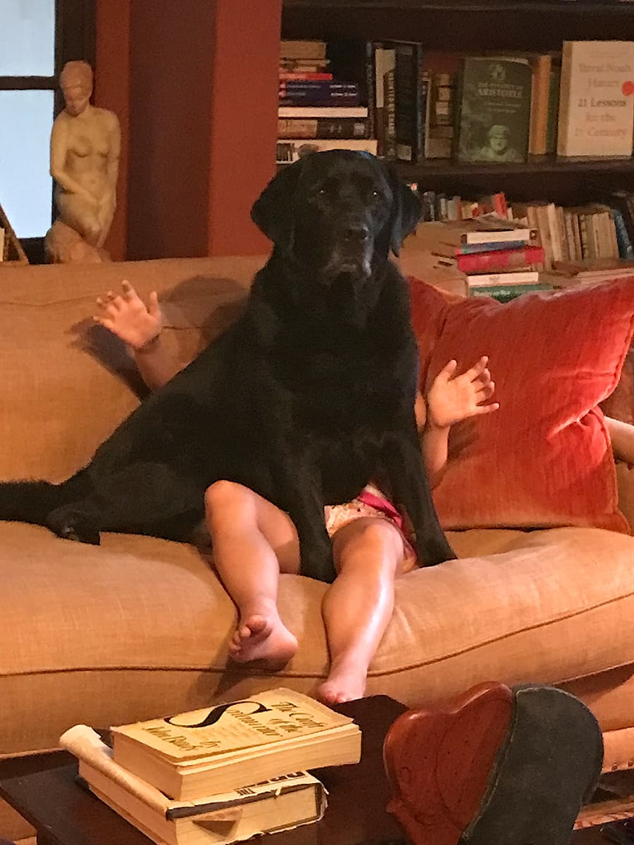 <b>“Nuestra nieta dio la orden de sentarse” </b>
<br>
<br>“Beau, nuestro labrador retriever negro, es muy obediente”, bromea la fotógrafa.
<br>