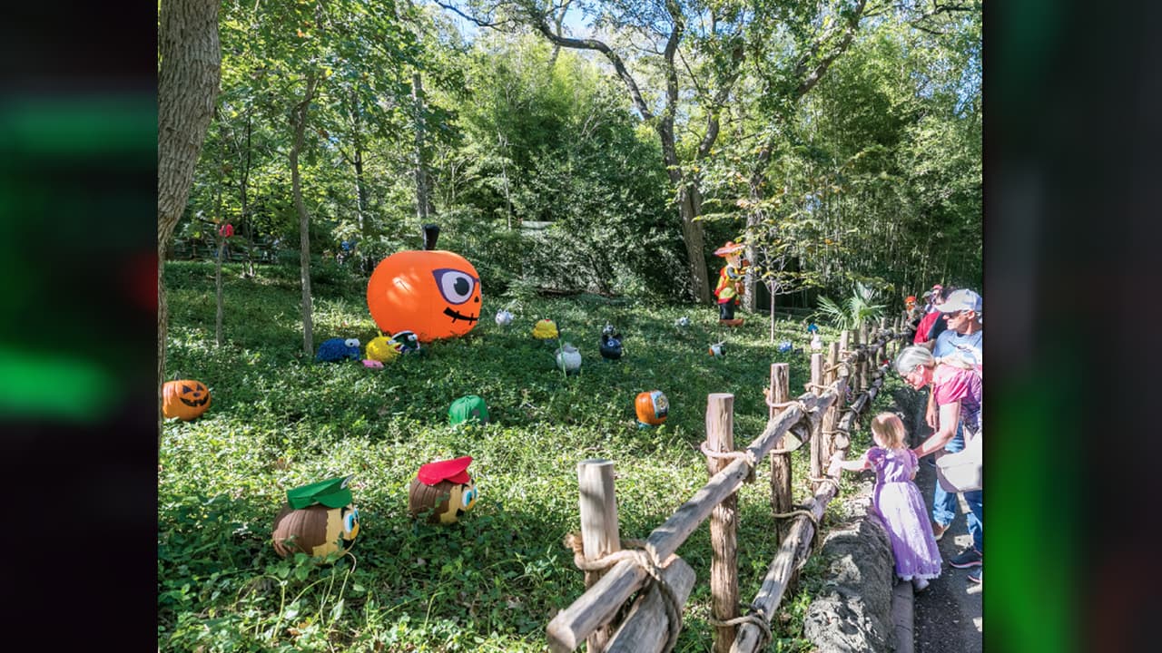 <b>Zoológico de Fort Worth:</b> Booooo en el zoo, es el nombre de esta actividad de disfraces en el zoológico, ideal para un día con los más pequeños, es del 28 al 30 de octubre, de 10 de la mañana a 5 de la tarde. Dirección: 
<b>1989 Colonial Parkway, Fort Worth. Entradas desde los $14.</b> Para más detalles entra a su página web: 
<a href="https://www.fortworthzoo.org/boo-at-the-zoo" target="_blank">fortworthzoo.org </a>