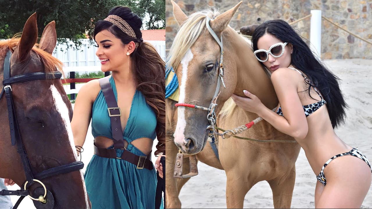 Los animales siempre son ideales para capturar las mejores fotos y los caballos te dan ese aire de portada de revista.