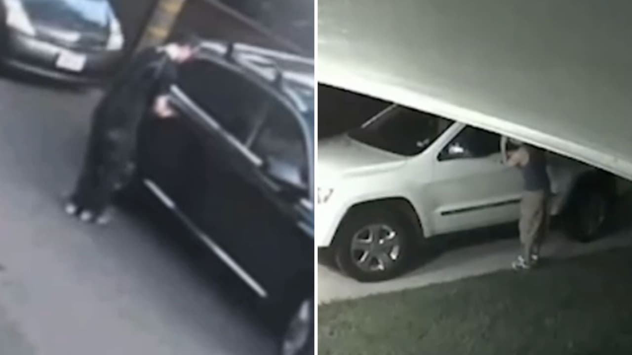 Así logran los ladrones robar autos en segundos: ¿qué hacer para proteger tu vehículo?