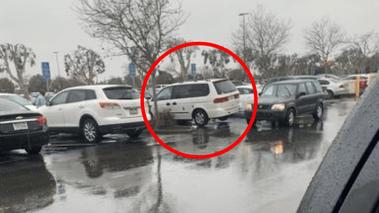 Así le robaron el convertidor catalítico en plena luz del día a una televidente de Univision 14