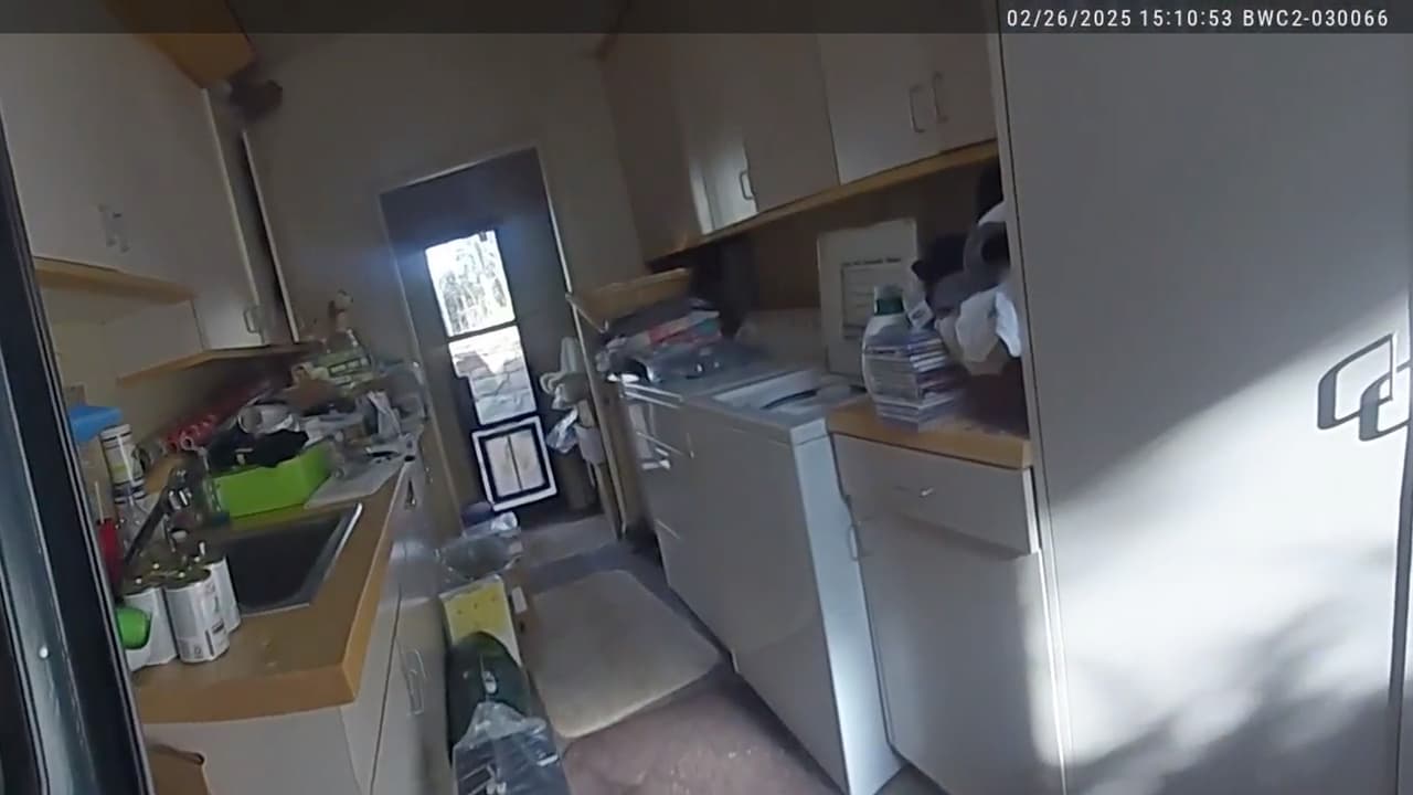 Un perro de la pareja fue hallado muerto en una jaula, aparentemente por inanición, mientras que otros dos lograron sobrevivir en otras partes de la propiedad.