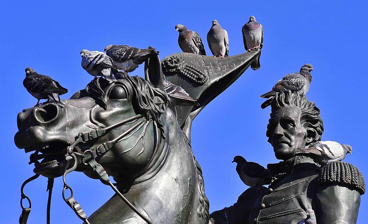 Celebridad populista y candidato independiente: ¿seguirá Trump los pasos del presidente Andrew Jackson?