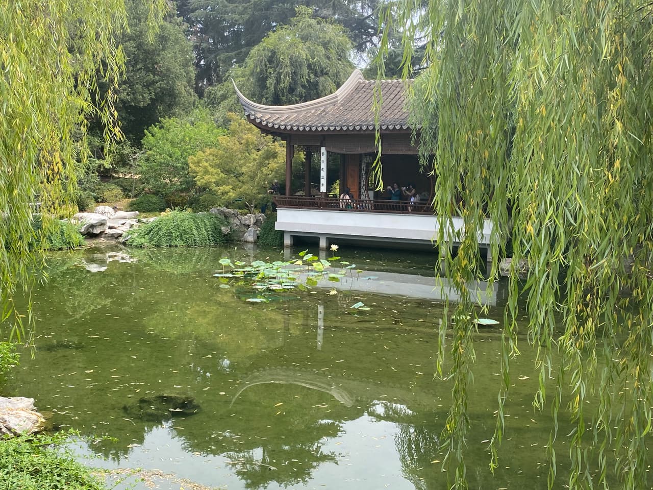 El paseo a Huntington Library bien vale la pena. En solitario, en pareja o con toda la familia será un paseo con fotos inolvidables.