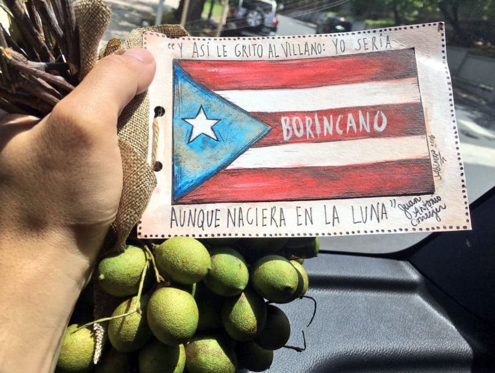 Y este rico racimo de quenepas que le obsequiaron.