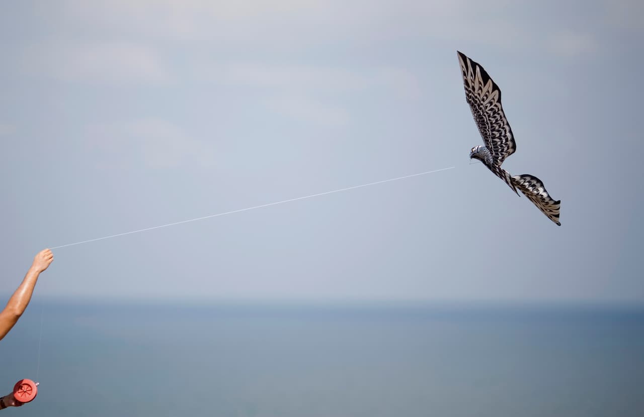 <b>Explora los festivales.</b> Este domingo, 13 de marzo, observa cientos de cometas elevarse al cielo (¡o eleva el tuyo!) en la edición 48 del Festival anual de la cometa. Este evento es gratuito y se celebra en Redondo Beach Pier.