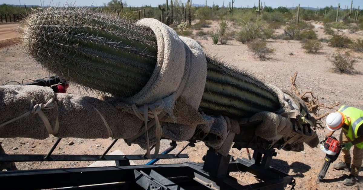 Explosiones en lugares sagrados: advierten que la construcción del muro amenaza enclaves indígenas