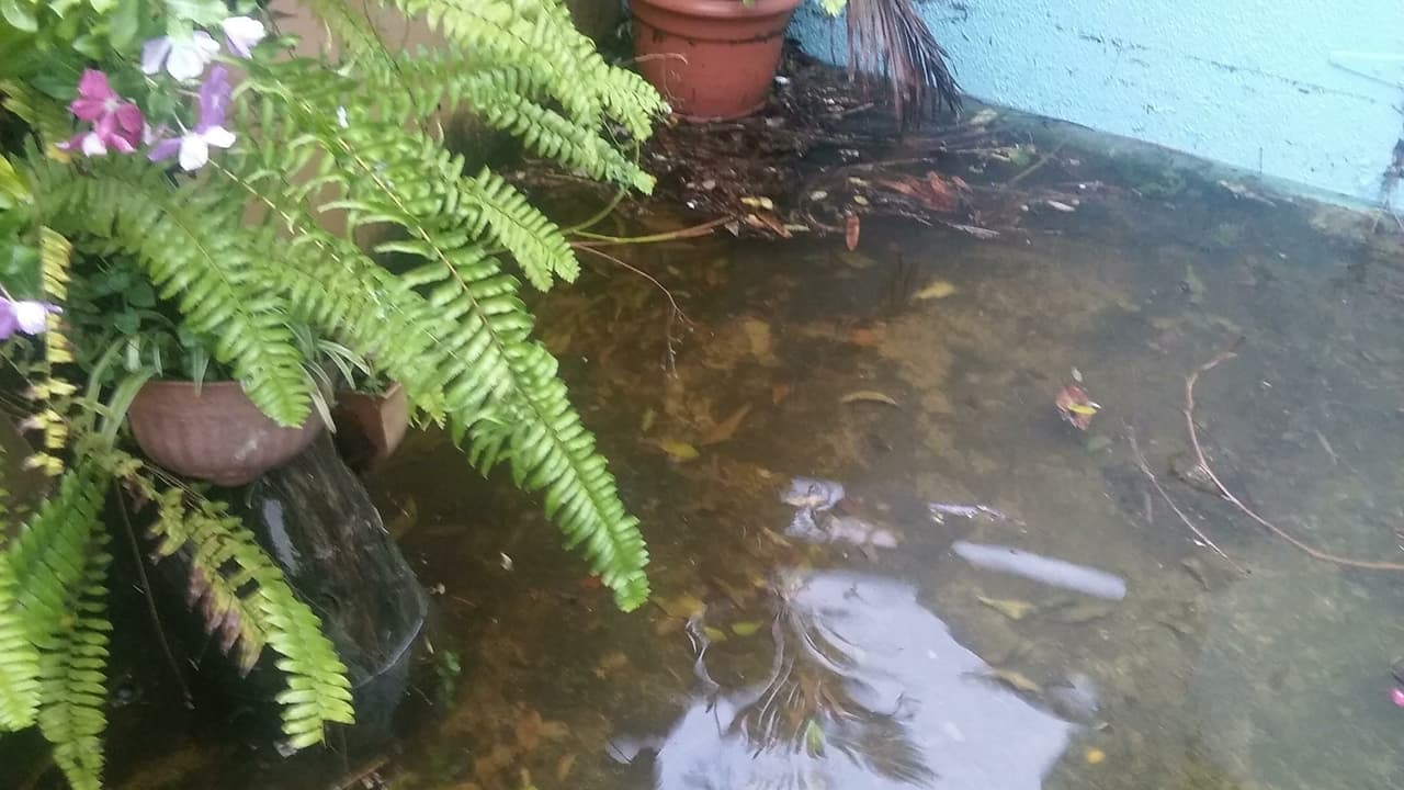 Intensas lluvias provocaron inundaciones y pérdidas en la zona metropolitana de Puerto Rico, así como en el área este de la Isla. Autos quedaron bajo agua y residencias reportaron enormes pérdidas. Varias personas tuvieron que ser llevadas a refugios.