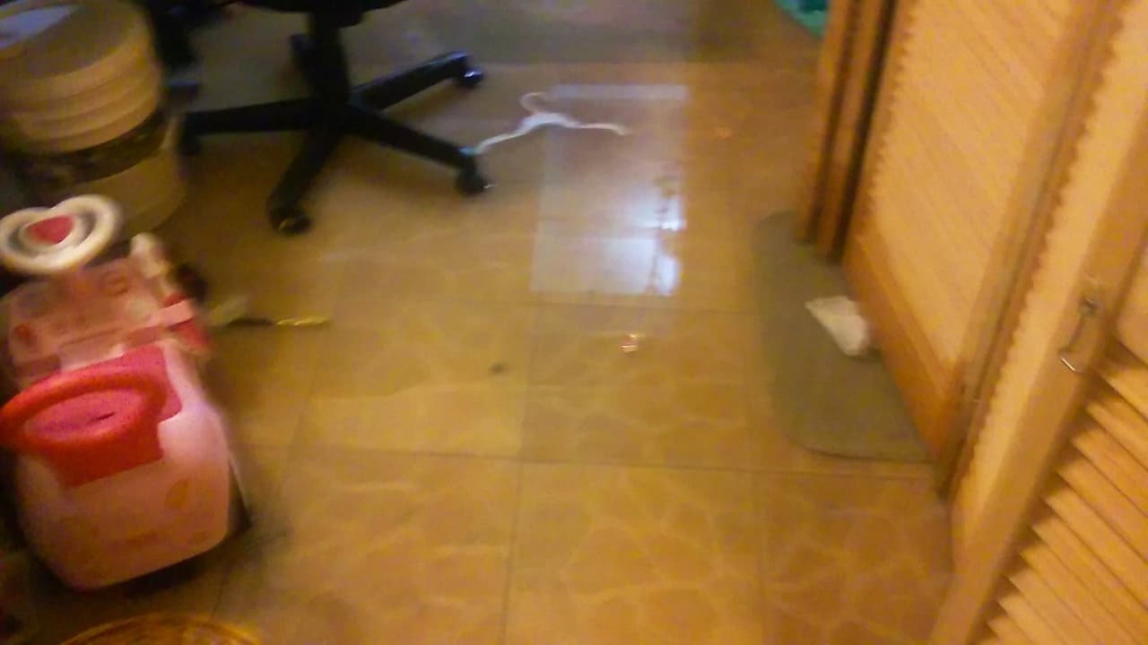 Intensas lluvias provocaron inundaciones y pérdidas en la zona metropolitana de Puerto Rico, así como en el área este de la Isla. Autos quedaron bajo agua y residencias reportaron enormes pérdidas. Varias personas tuvieron que ser llevadas a refugios.