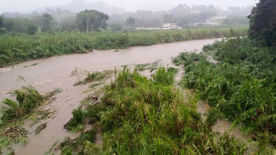 Emergencia en Aguas Buenas, Corozal, Naranjito y Orocovis: lluvias extremas ponen en alerta a Puerto Rico