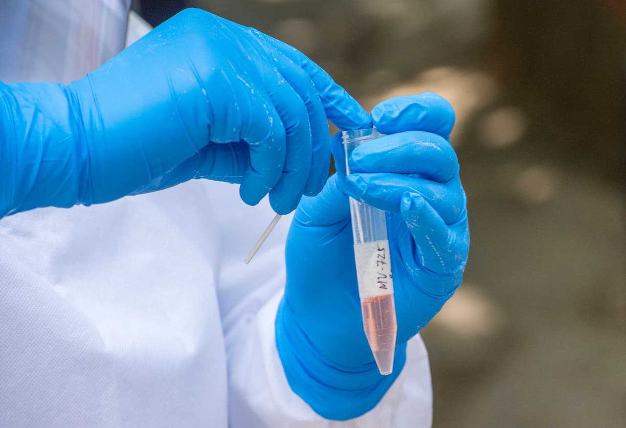 "¿Dónde están las pruebas?": demócratas de Florida cuestionan plan de DeSantis para la reactivación