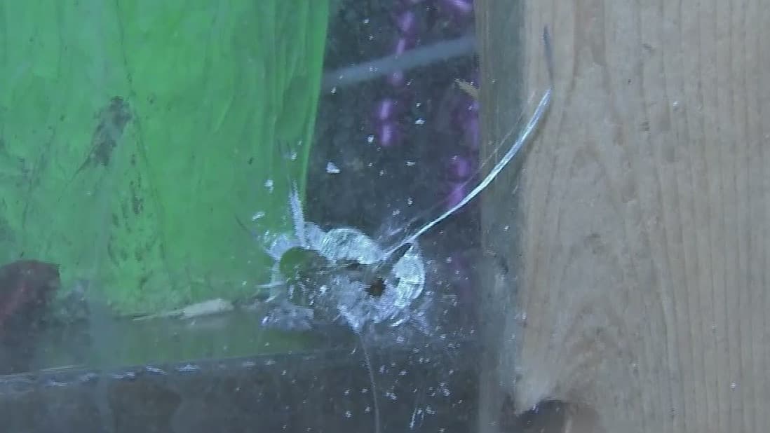 Niño de 4 años resulta lesionado tras quedar atrapado en medio de tiroteo en Manhattan