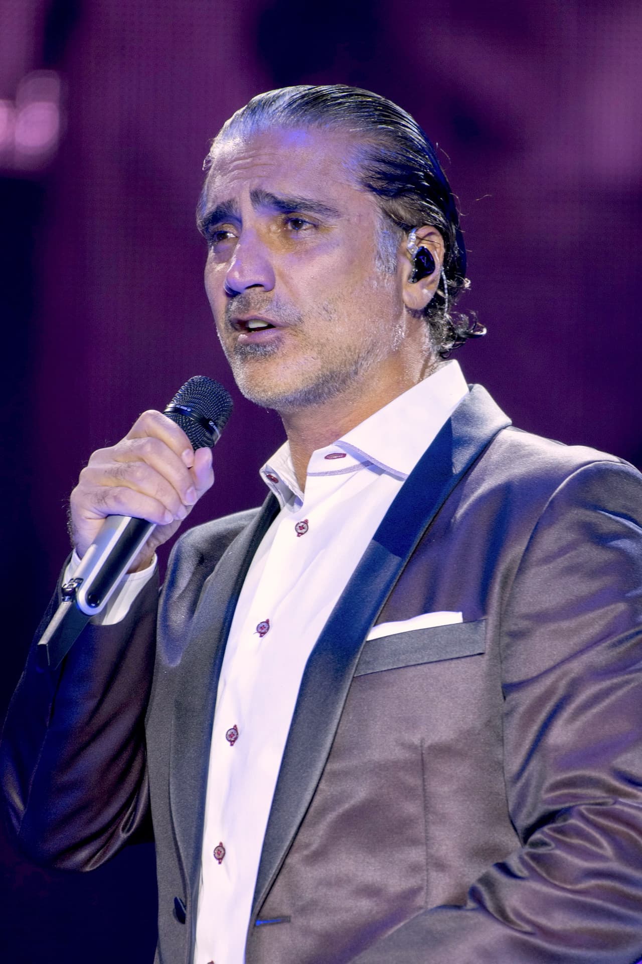 Alejandro Fernández fue quien se dedicó formalmente a la música. Su debut fue en marzo de 1992, y desde entonces se ha dedicado a la música ranchera y la balada pop. Hasta ahora suma más de 15 millones de discos vendidos.