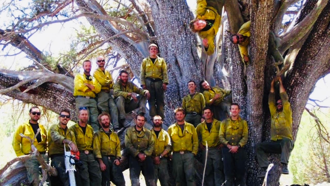 Arizona izará las banderas a media asta para honrar a los 19 bomberos que murieron en el incendio de Yarnell 