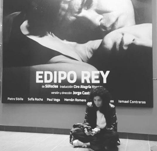 Sin duda, la actriz destacó por su trayectoria en teatro. Rocha participó en las obras ‘Mitos de fuego’, ‘Antígona’, ‘Todo en el jardín’, ‘El jardín de los cerezos’, ‘Las tres viudas’, 'Edipo rey' y ‘Viaje de un largo día hacia la noche’, entre muchas otras.
<br>