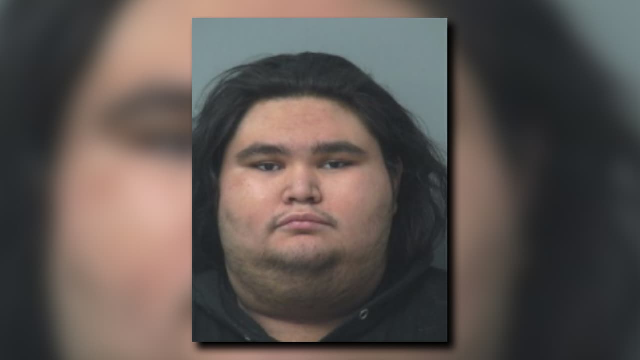 Hallaron animales muertos dentro de una casa cubierta de heces: arrestan a un hombre por crueldad animal