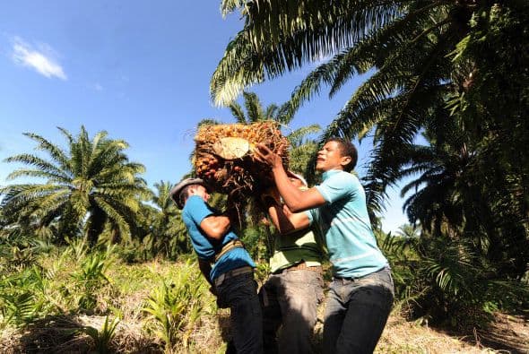 B fue la nota para Honduras y Ecuador.