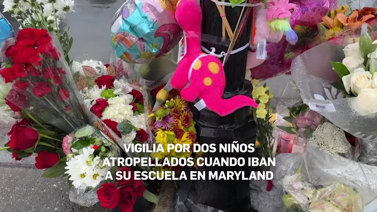 Dos niños murieron tras ser atropellados este lunes mientras caminaban a la escuela primaria Riverdale. La Policía los identificó como Shalom Mbah, de 10 años, y Sky Sosa, de 5 años. “Dos familias amigas se encuentran hoy, esta mañana, sin sus hijos, en un momento en el que nos preparamos para dar gracias por todas las bendiciones que nos han sido concedidas durante un año”, dijo el jefe de policía del condado de Prince George, Malik Azi.
