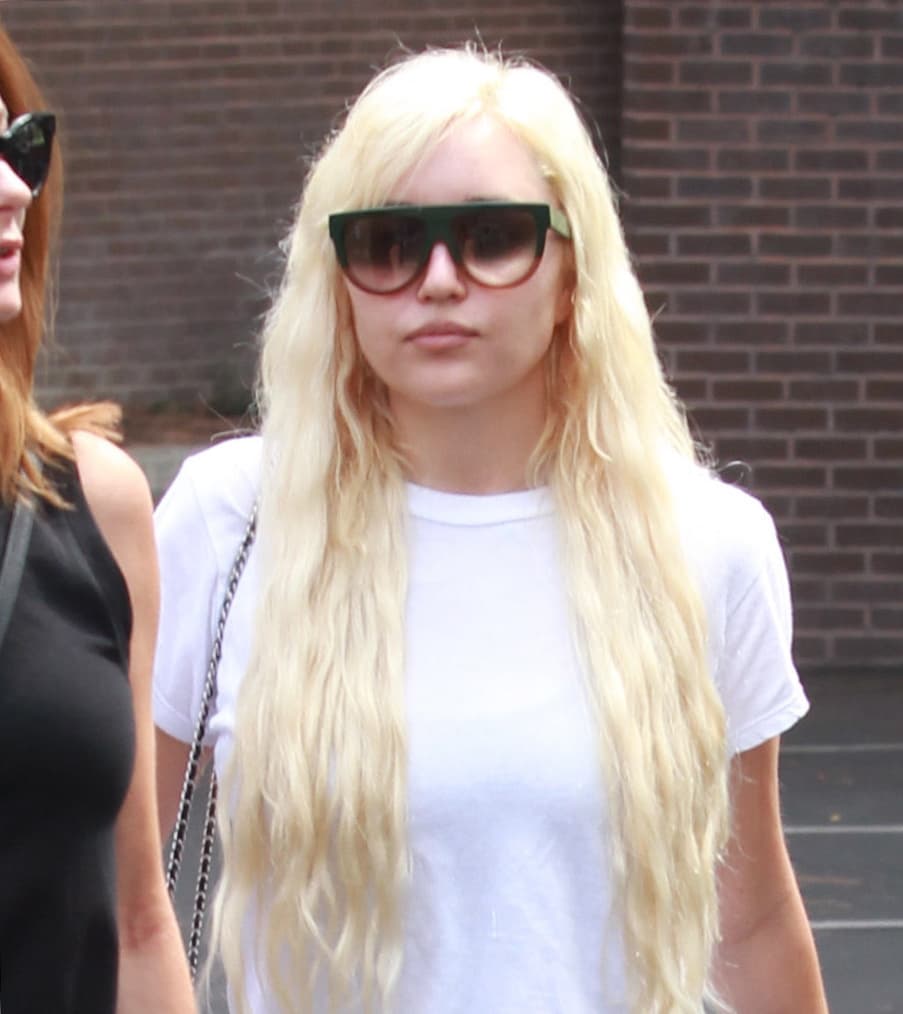 Durante un tiempo y bajo los efectos de las drogas, Amanda comenzó a tuitear cosas polémicas y extravagantes, como amenazas a sus padres o insultos a artistas como Drake, Rihanna y Courtney Love.
<br>