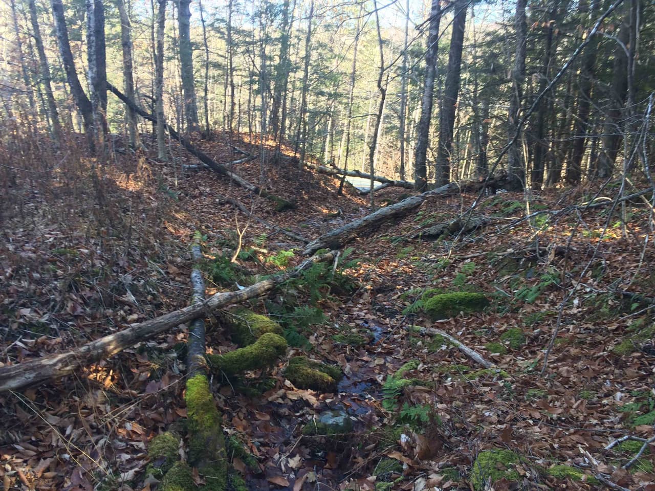 Un arroyo fluye desde los terrenos de Rennie Farm hacia la carretera, en donde hay residencias.