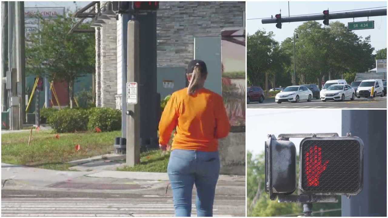 Agentes vestidos de peatones realizan operativo vial en Orlando; hubo multas