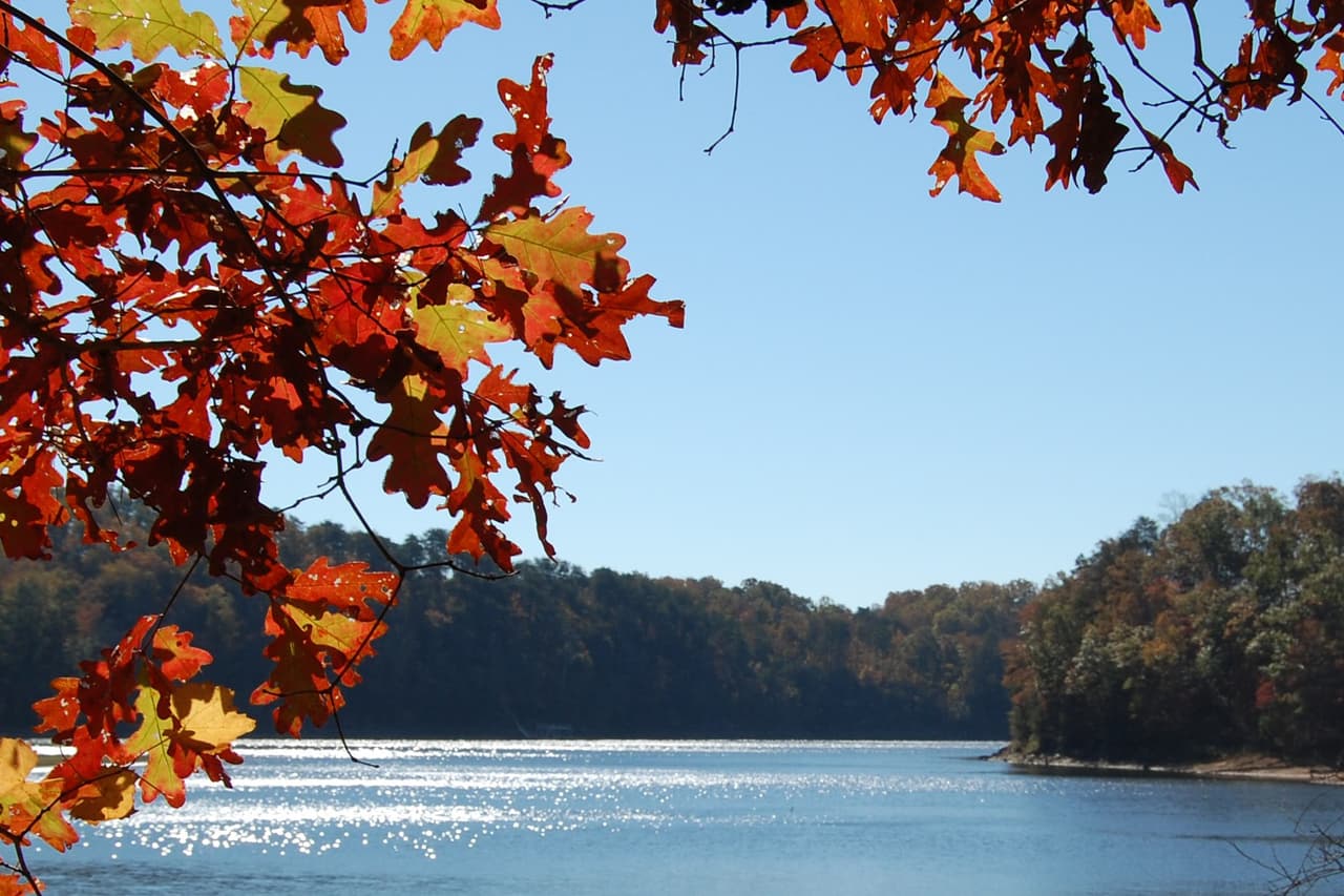 <b>Don Carter State Park (Gainesville) </b>
<br>
<b>Sitio web</b>: 
<a href="https://gastateparks.org/DonCarter">https://gastateparks.org/DonCarter</a> 
<br>
<a href="https://maps.app.goo.gl/JqZr9NzxHGpXRSUN9"><b>Cómo llegar</b></a>
<b> </b>
<br>
<br>El único parque estatal de Georgia en el lago Lanier ofrece más de 14 millas de senderos boscosos, rampas para botes, cabañas y lugares para acampar. Los jinetes disfrutarán especialmente de las vistas del otoño a lomos de un caballo.