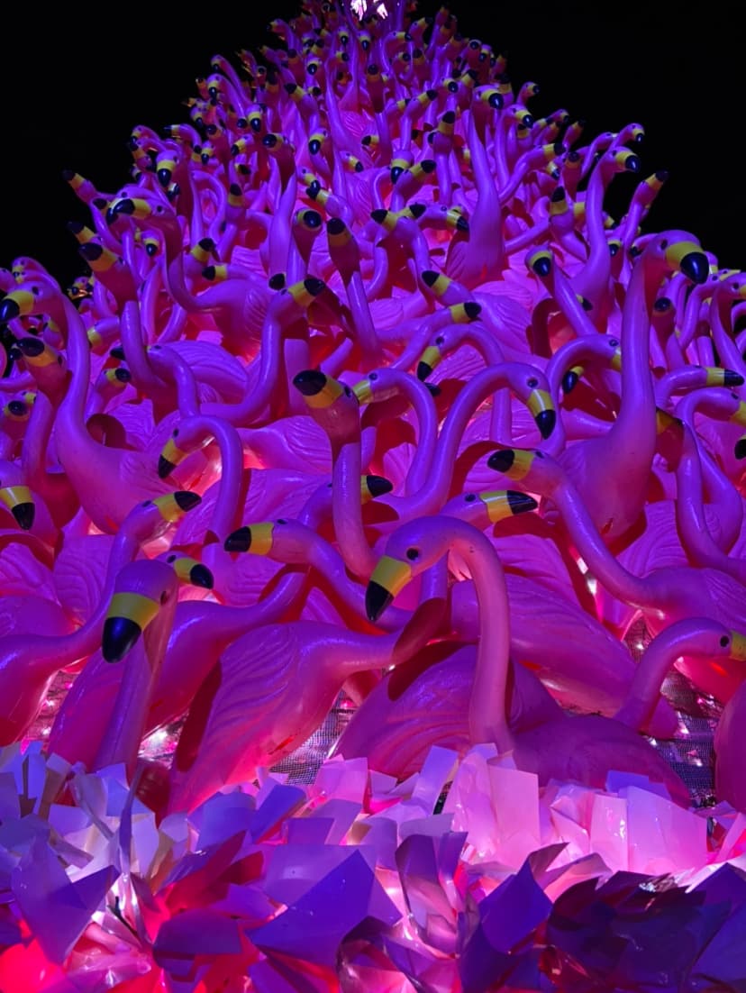 Disfrutarán de estampas icónicas como Flamingo Fancy, que conduce a un árbol de Navidad lleno de flamencos iluminados.