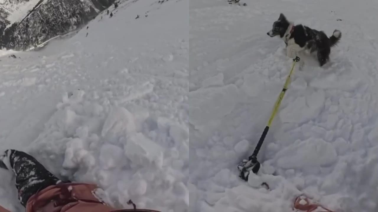 Mujer y su perro sobreviven tras ser arrastrados por una avalancha de nieve en Andorra
