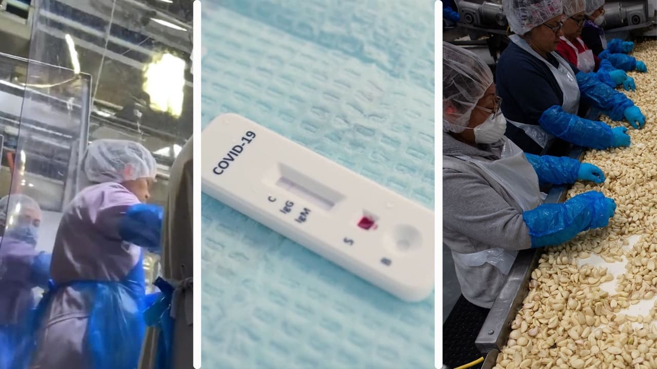 Esta son las opciones para trabajadores que no están protegidos por los días de enfermedad pagados por covid-19 en California