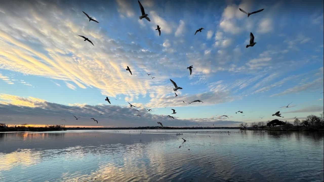 Uno de los sitios más frecuentado es el 
<b>White Rock Lake</b>, ubicado al este de Dallas. Este sitio es muy visitado porque tiene lancha, palapas y pueden hacer actividades recreativas alrededor.