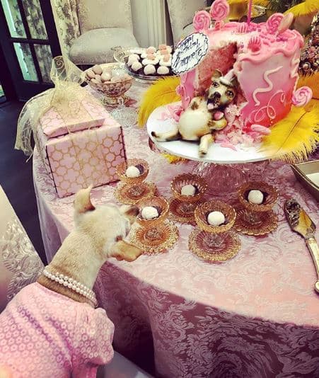 Sin embargo, algunos des sus seguidores consideraron demasiado lujosa la celebración para la mascota de Sofía.