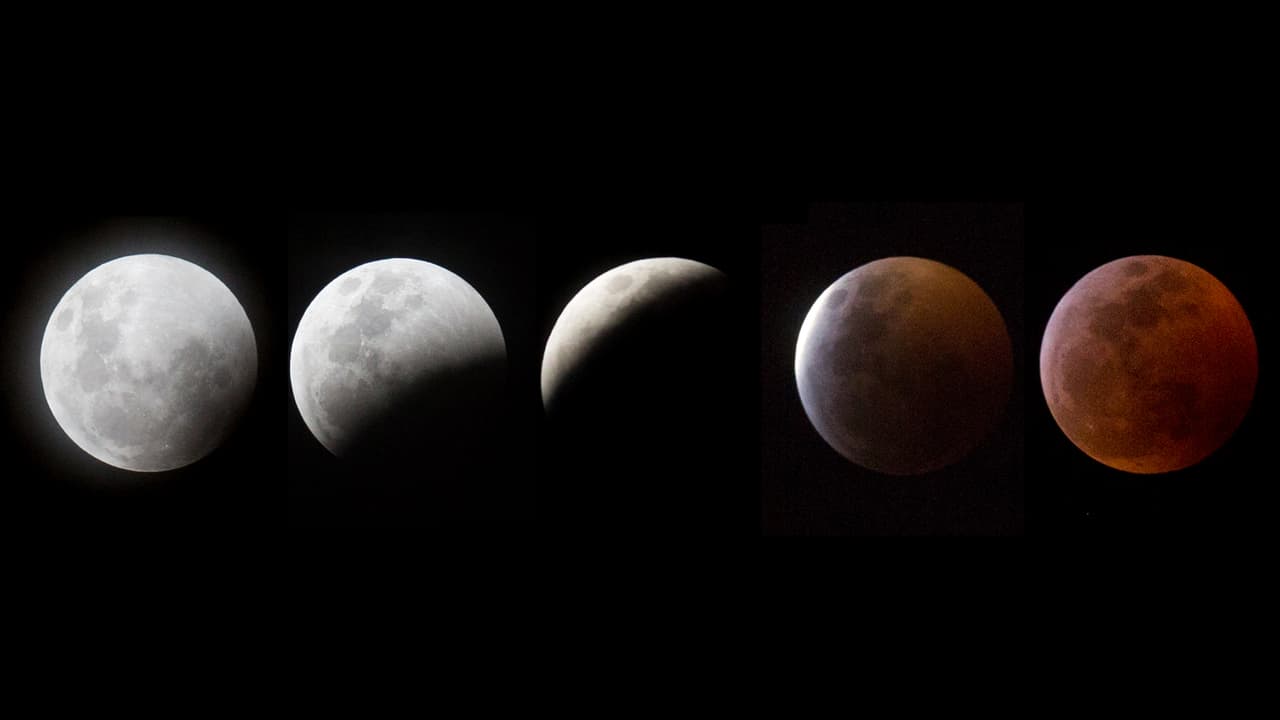 Una composición de 5 fotografías con las etapas del eclipse, tomadas desde Miami, Florida. El fenómeno no se repetirá en EEUU hasta el 2021.