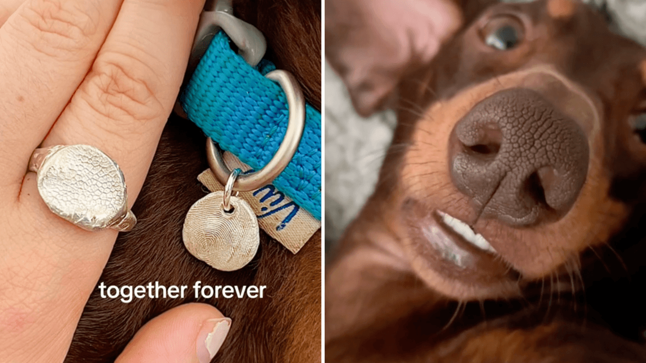 Joyería inspirada en tu perro: elegantes diseños para presumir tu amor por tu mejor amigo