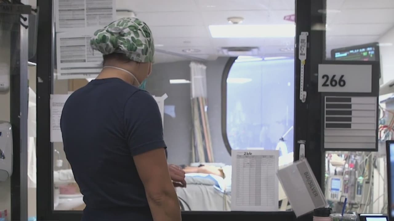 El covid-19 llegó a modificar la vida de todos, provocando miles de pérdidas irremplazables y normalizando actividades como el trabajo y la educación desde casa.